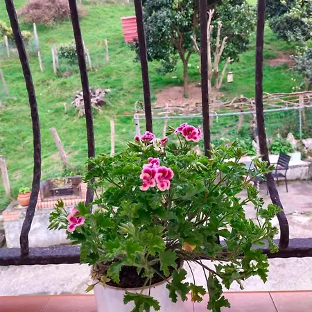 Antzomendi * Mutriku