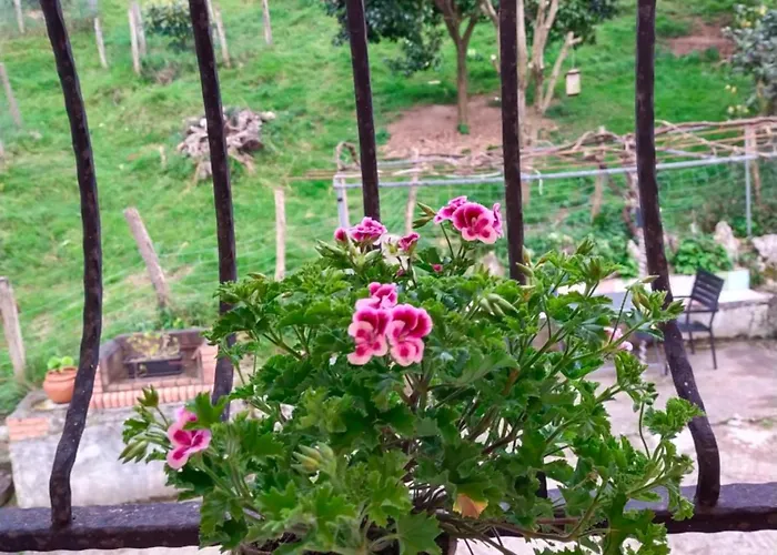 Antzomendi * ムトリク