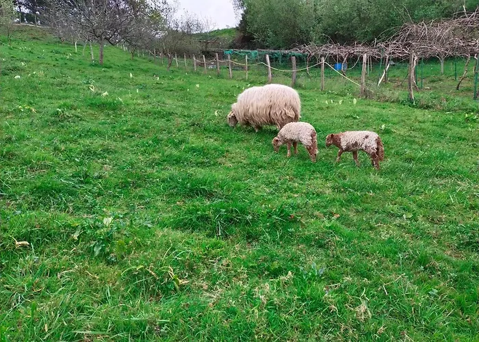 Antzomendi דירה מוטריקו