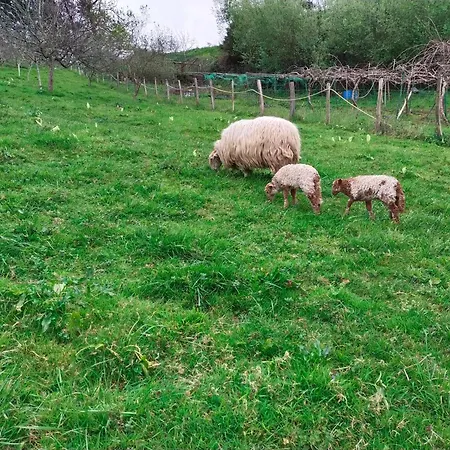 Antzomendi Apartment Mutriku